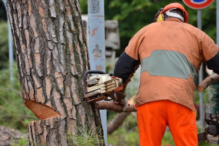 Peschiera, ambientalista minacciata