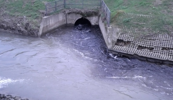 Pfas, Coletto: “Da Greenpeace solo propaganda allarmistica”