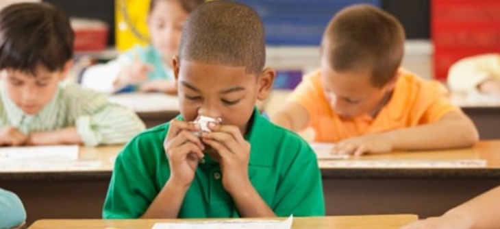 Polline: ecco il suo effetto sui voti