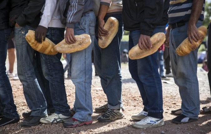 Profughi, Castelnuovo dice sì