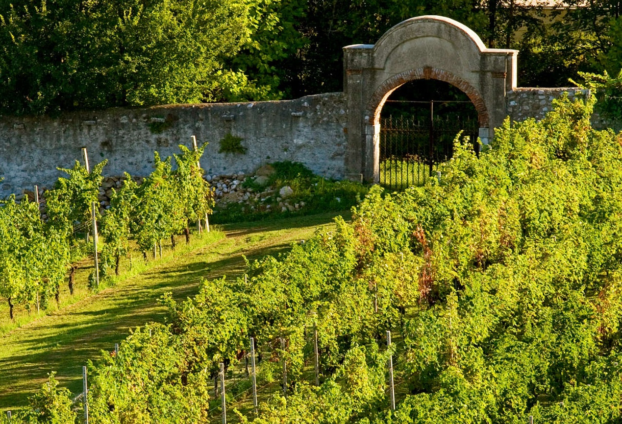 Profumi di mosto, evento da non perdere