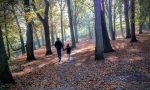 Psicologia, tre incontri in biblioteca