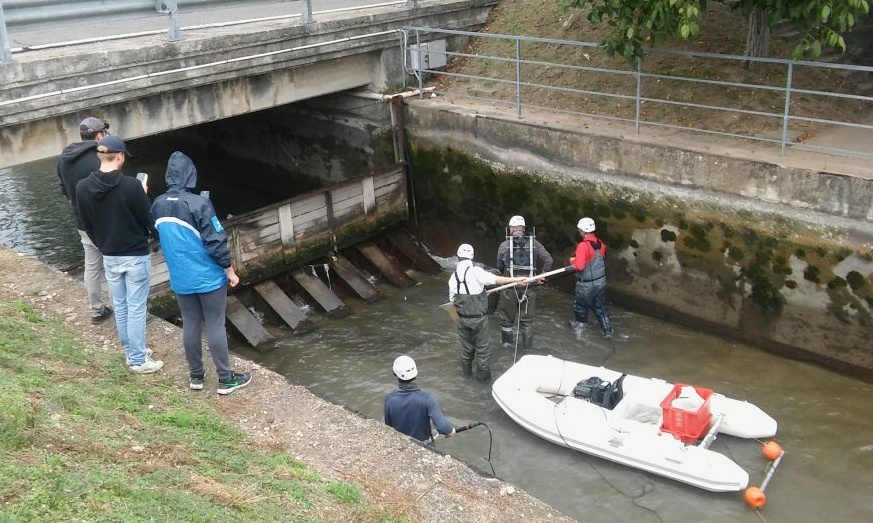 Recuperati pesci del canale e liberati nell’Adige