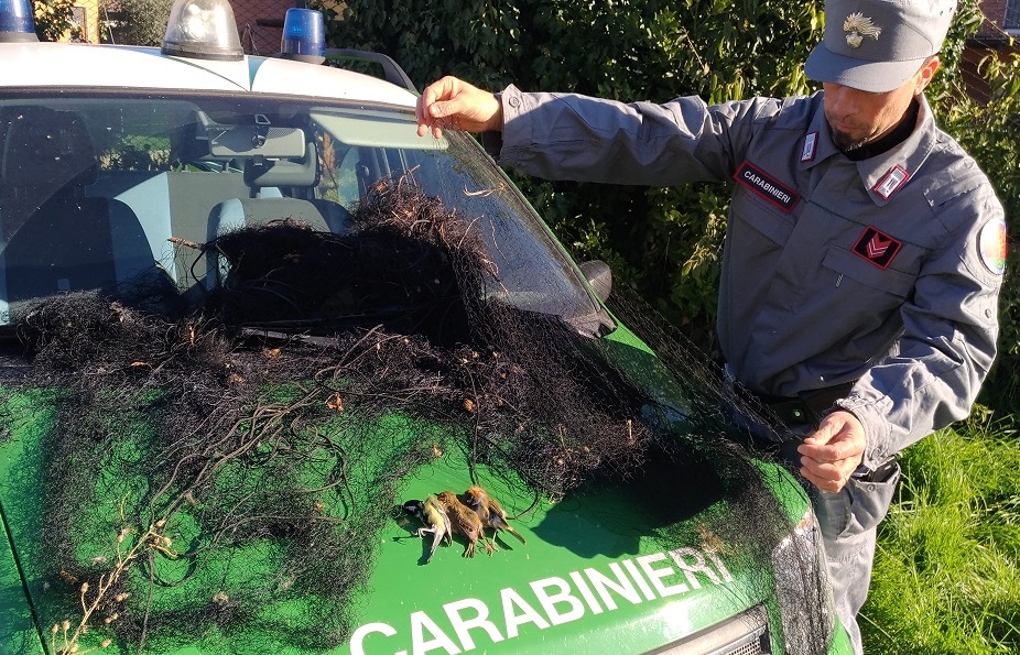 Rete tra gli alberi, bracconiere denunciato