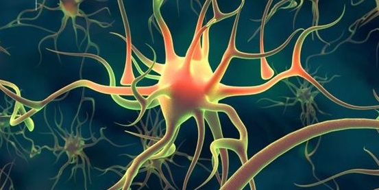 Scoperti i neuroni della calma (basta respirare, come nello yoga)