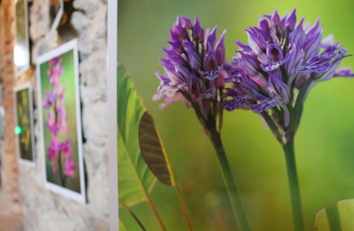 “Seduzione Repulsione” fa più di 2500 visitatori in meno di un mese