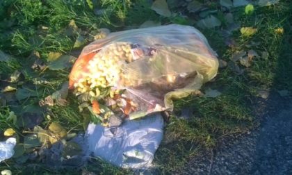 Un paese bersaglio di ladri e incivili