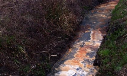 Sversamenti nel canale: orrore a Moniga