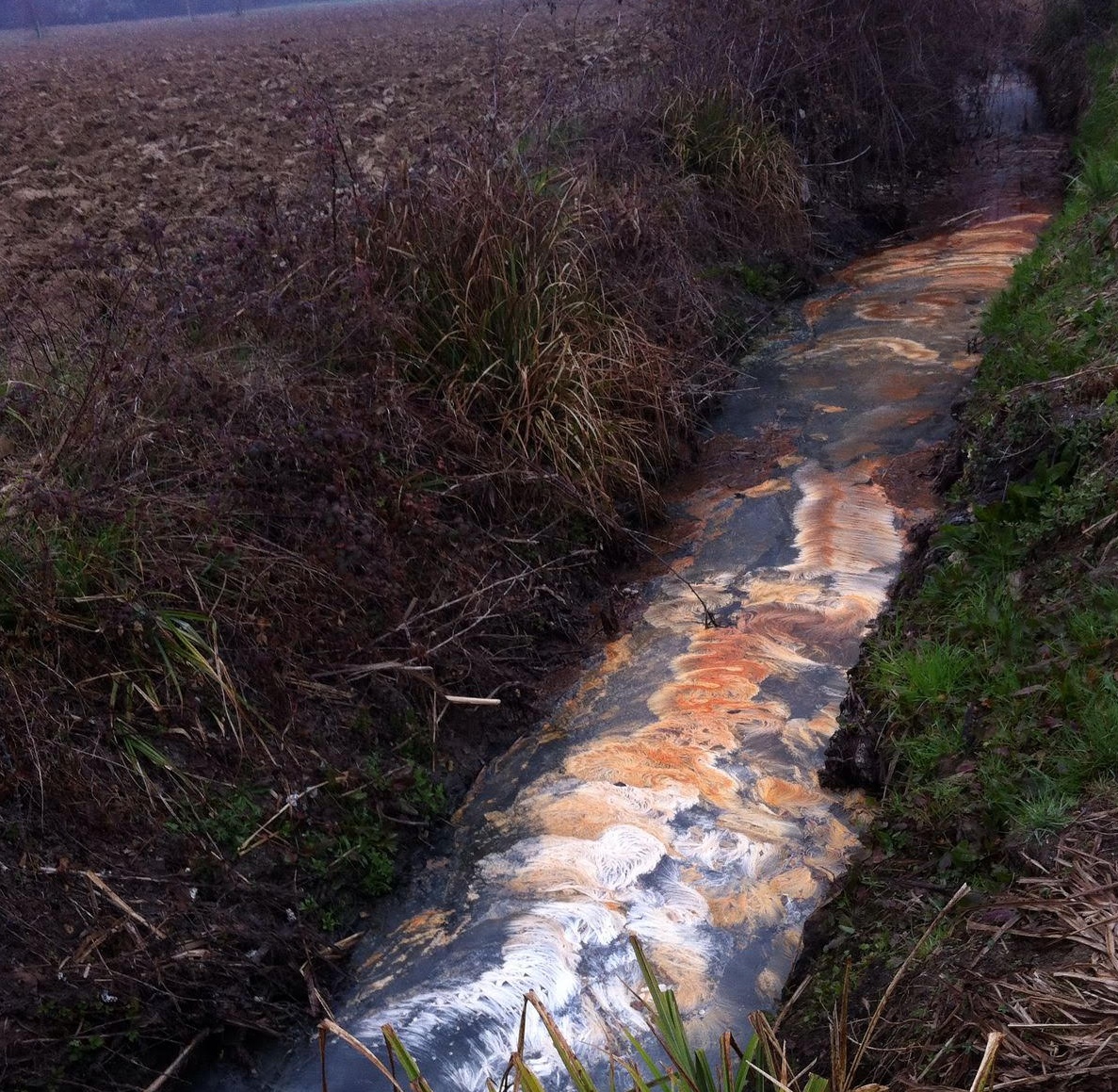 Sversamenti nel canale: orrore a Moniga