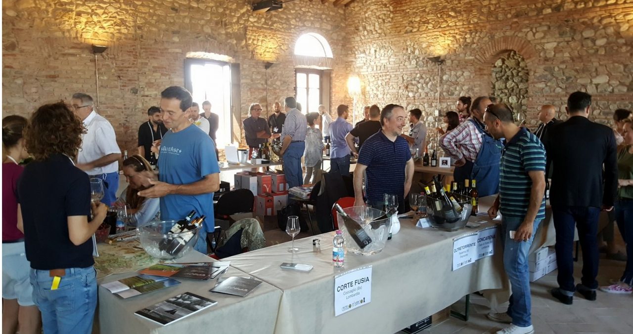 Torna Castello in bianco