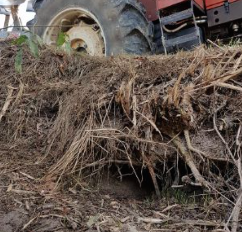 Rischia incidente a causa di una nutria
