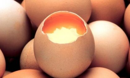 Uova: 5 motivi per continuare a mangiarle