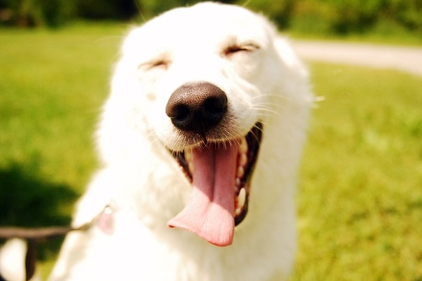 Verona provincia felice. Lo dice Twitter