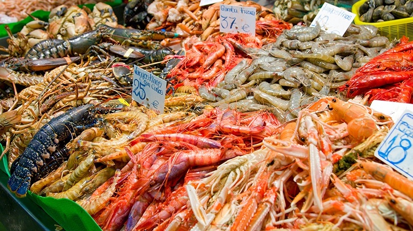 Vietato far soffrire i crostacei