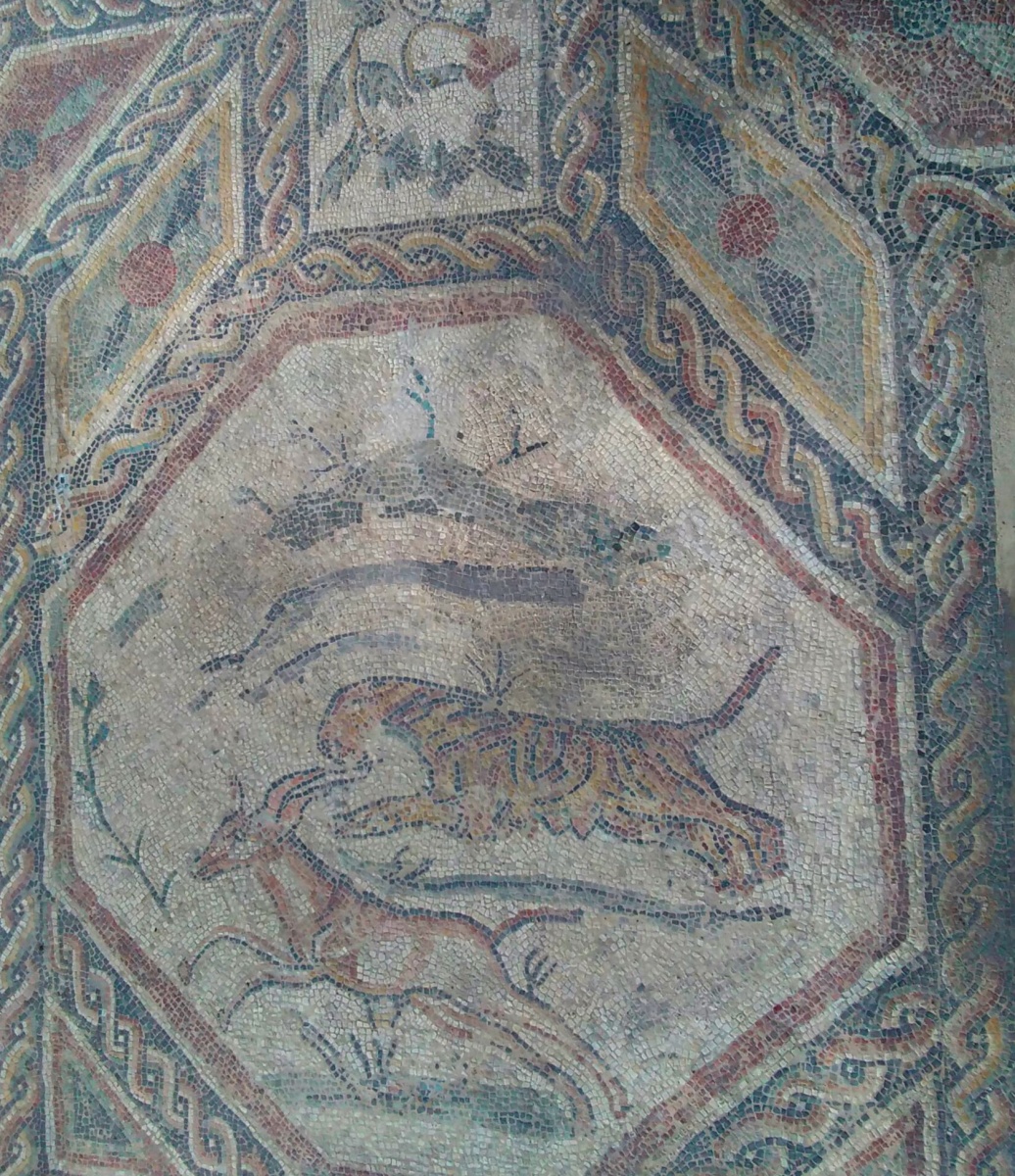 Villa romana: tra storia e misteri