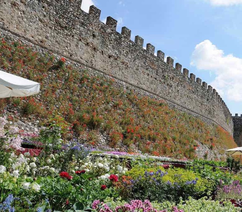 Vino, musica, fiori, sport per un fine settimana ricco di divertimento