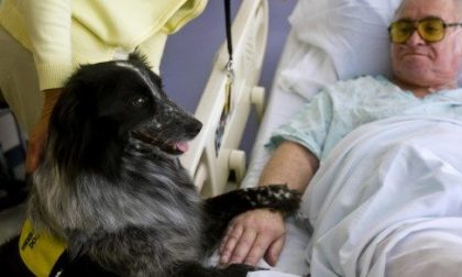 Pet therapy In Lombardia è permessa negli ospedali