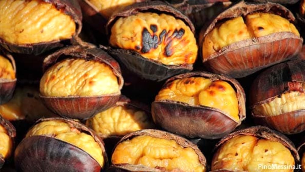 Imperdibile castagnata con i Vigili del fuoco