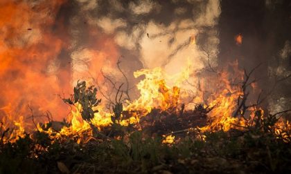 Basta caccia per l'emergenza incendi