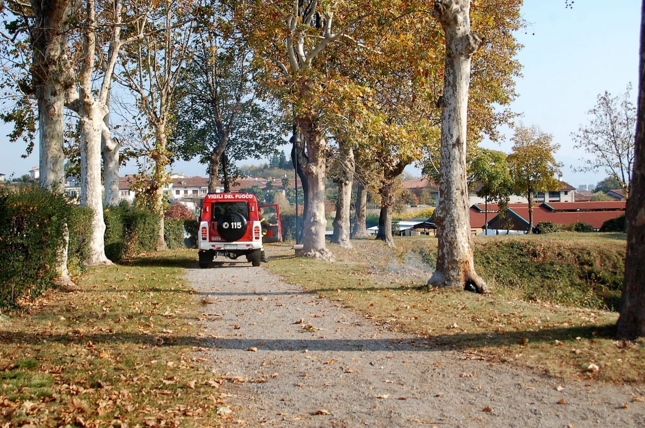 Incendio sugli Spalti brucia un albero