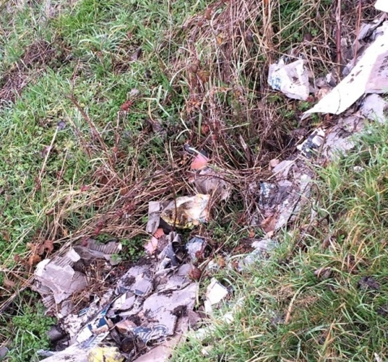 Emergenza rifiuti il paese è inondato