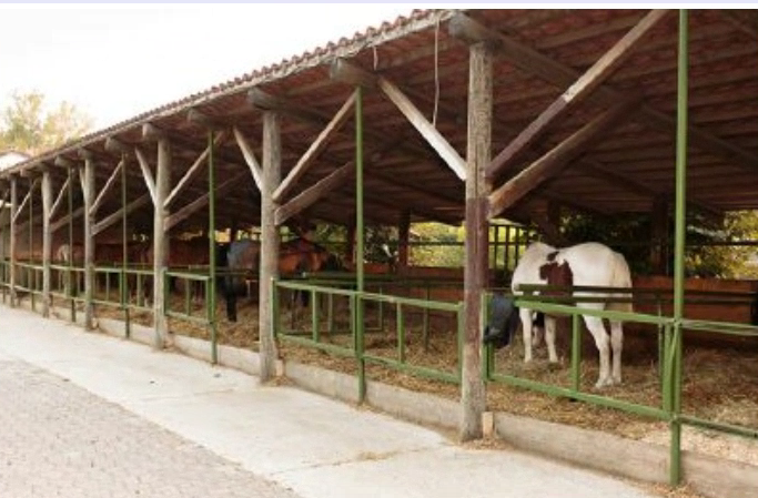 Scuderia saccheggiata ladri via con 8 selle