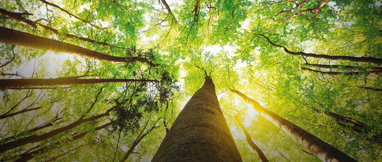 Stili di vita e modello di sviluppo per mitigare i cambiamenti climatici