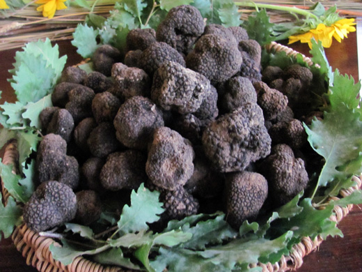 Mostra annullata per la morte del parroco