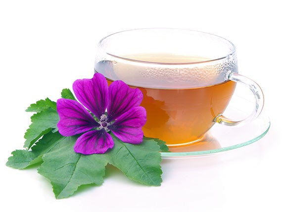 Stasera tisana con le Acli a Chiari