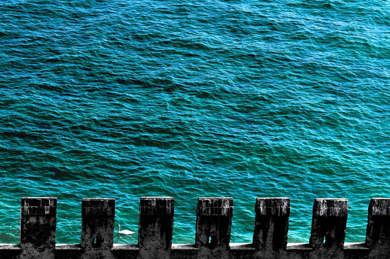 Le foto dei vincitori del concorso fotografico sul Garda