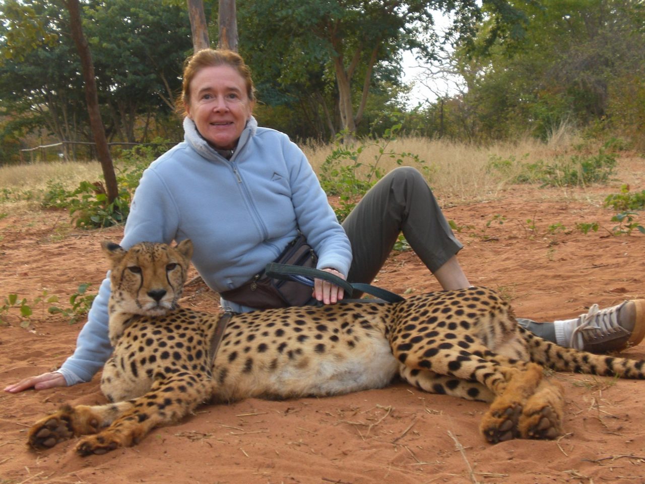 Dalla Valtenesi alla Namibia per salvare i ghepardi