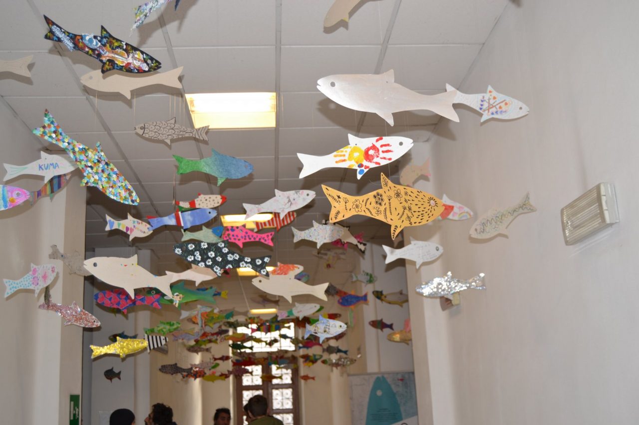 Tanti pesci colorano la biblioteca