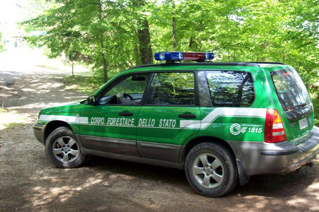 Allevamento lager scoperto dai Carabinieri forestali