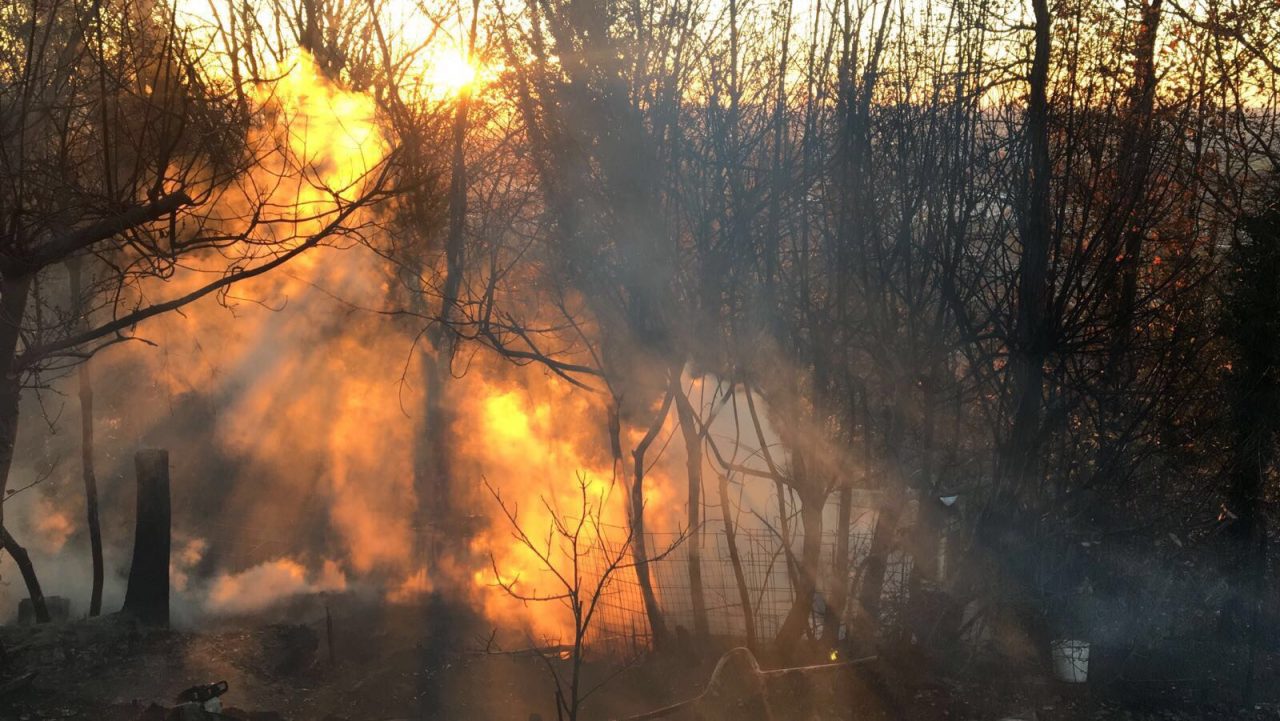 Brucia deposito con le casette delle api