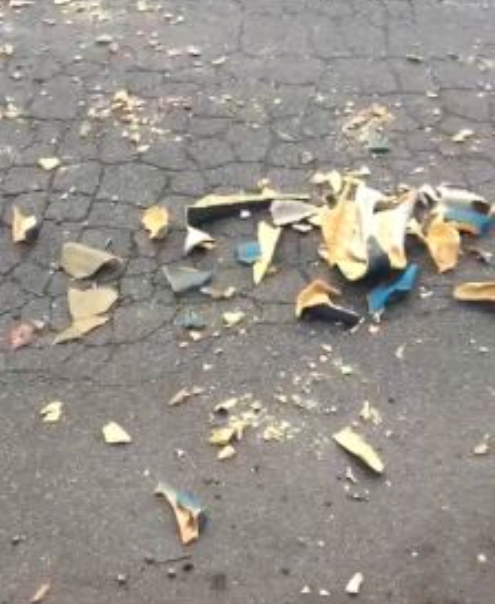 Pastorella rapita e re magio distrutto, indagano i carabinieri