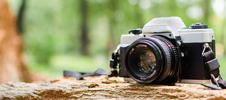 Concorso fotografico “I giganti del parco”: ecco i vincitori