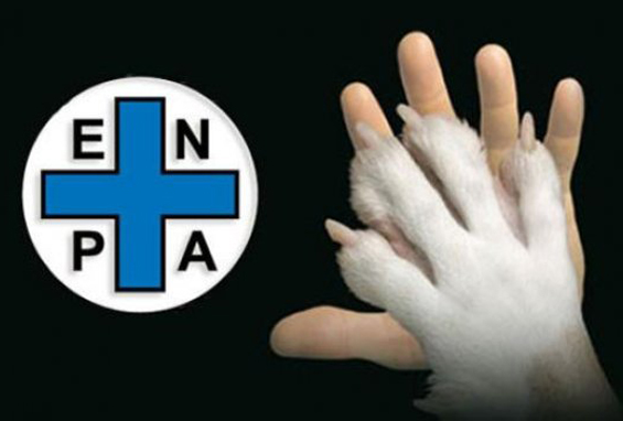 Cena benefica per gli animali con l’Enpa