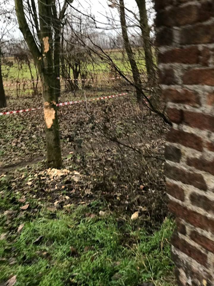 I vandali se la prendono con la natura