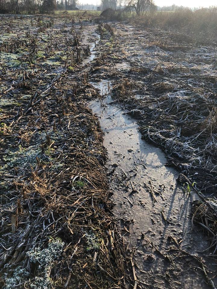 Liquami, dubbi sull’ordinanza comunale a Remedello