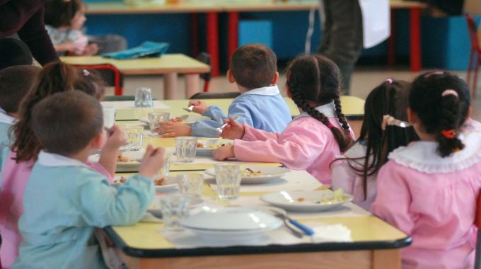 Intossicazione alimentare nelle scuole: «Necessario intervenire sulle procedure di controllo»