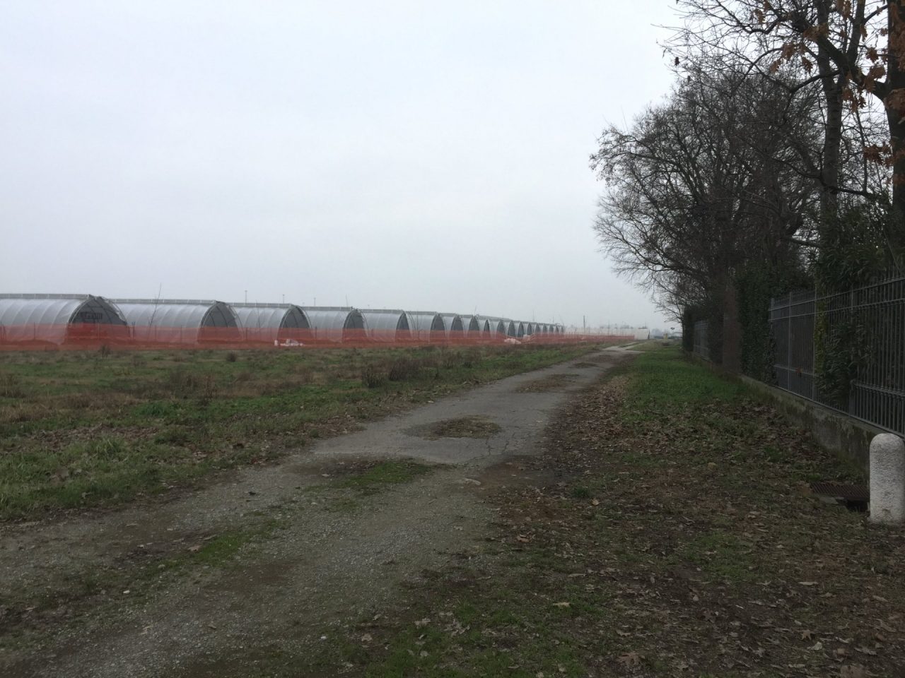 Centinaia di camion sarebbero un inferno e fanno ricorso a Mattarella