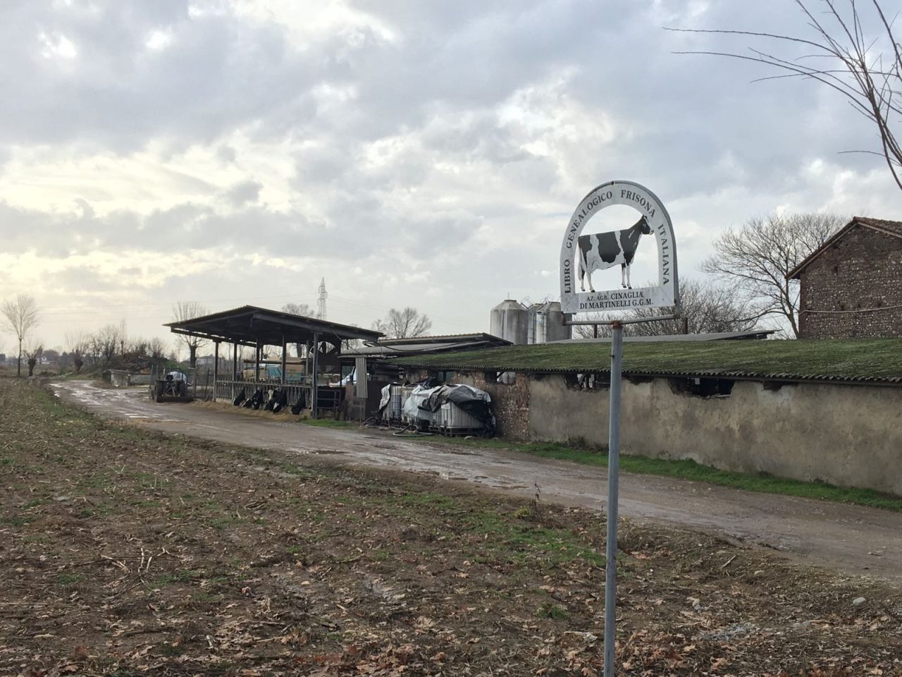 Infortunio sul lavoro in un’azienda agricola a Travagliato