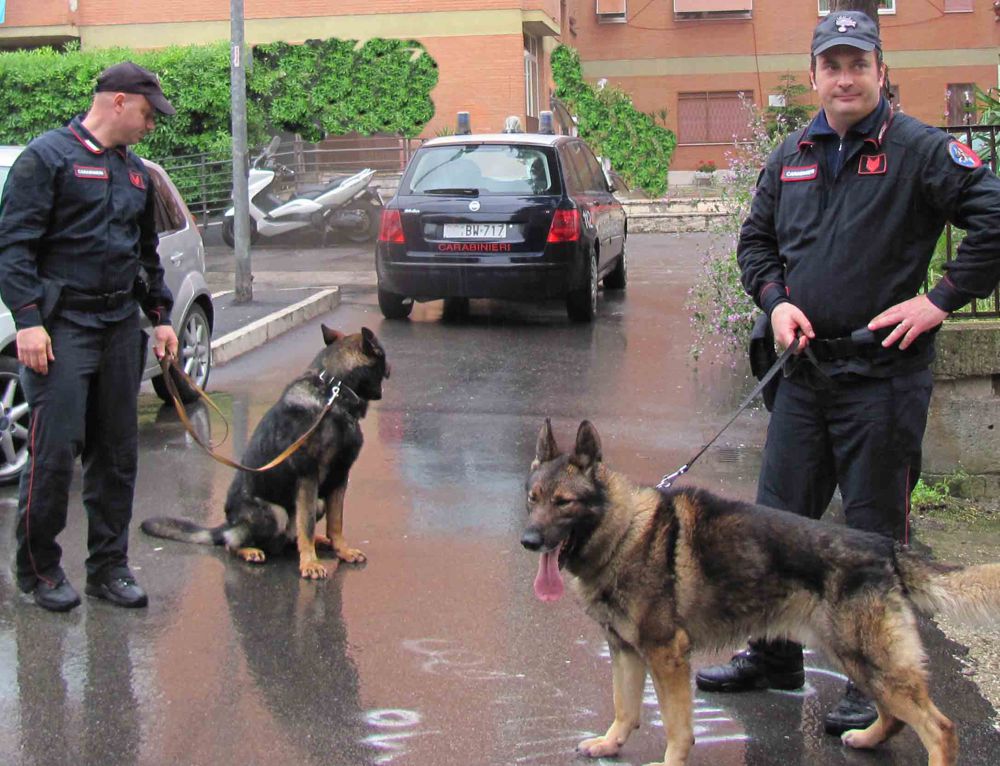 Cani antidroga nelle scuole della città