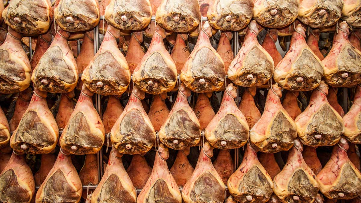 “I prezzi dei suini precipitano, settore a rischio tenuta”