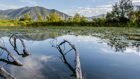 Le Gev provinciali tornano a vigilare sulle Torbiere del Sebino
