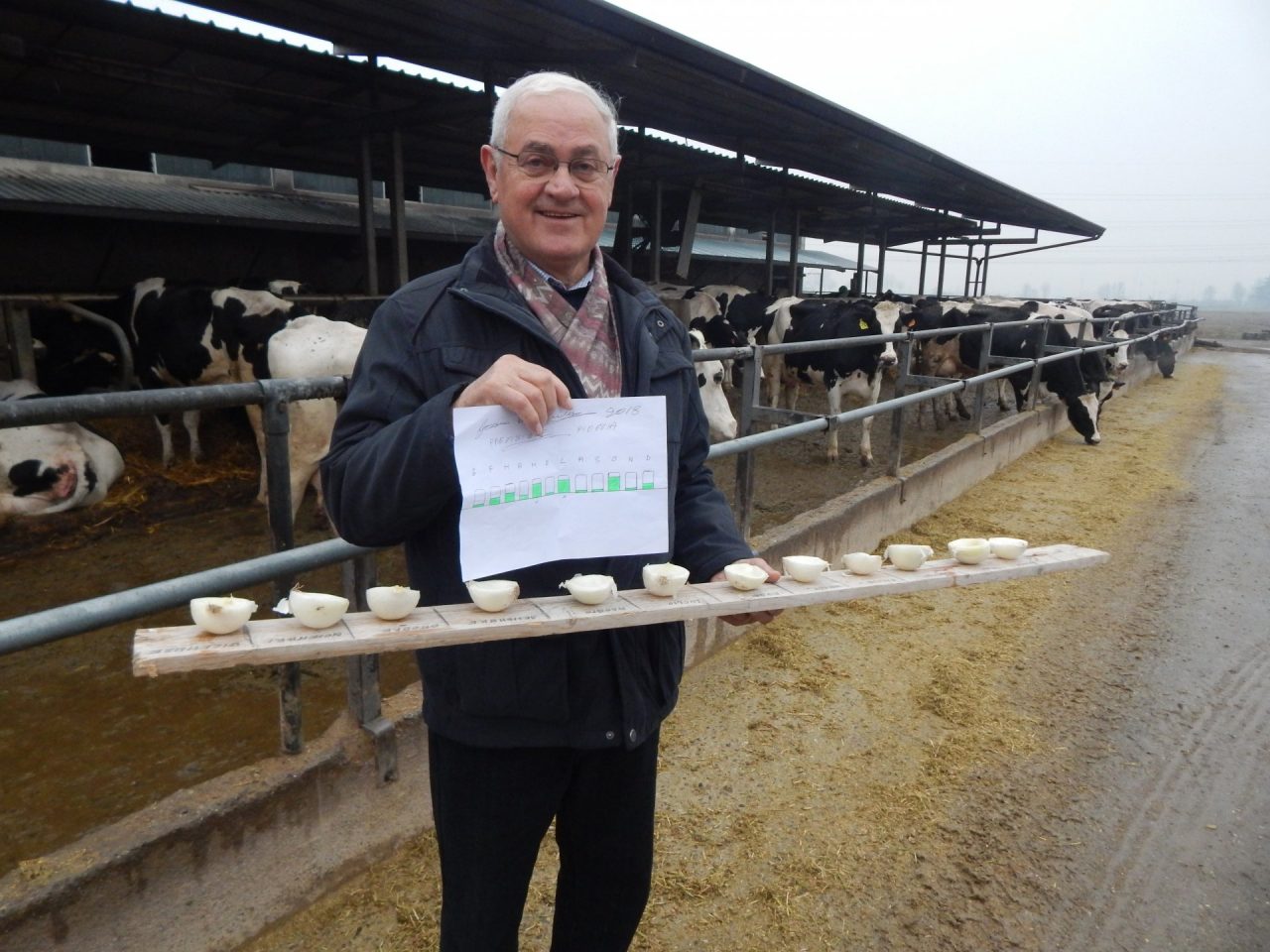 Previsioni metereologiche con le cipolle del clarense Beniamino