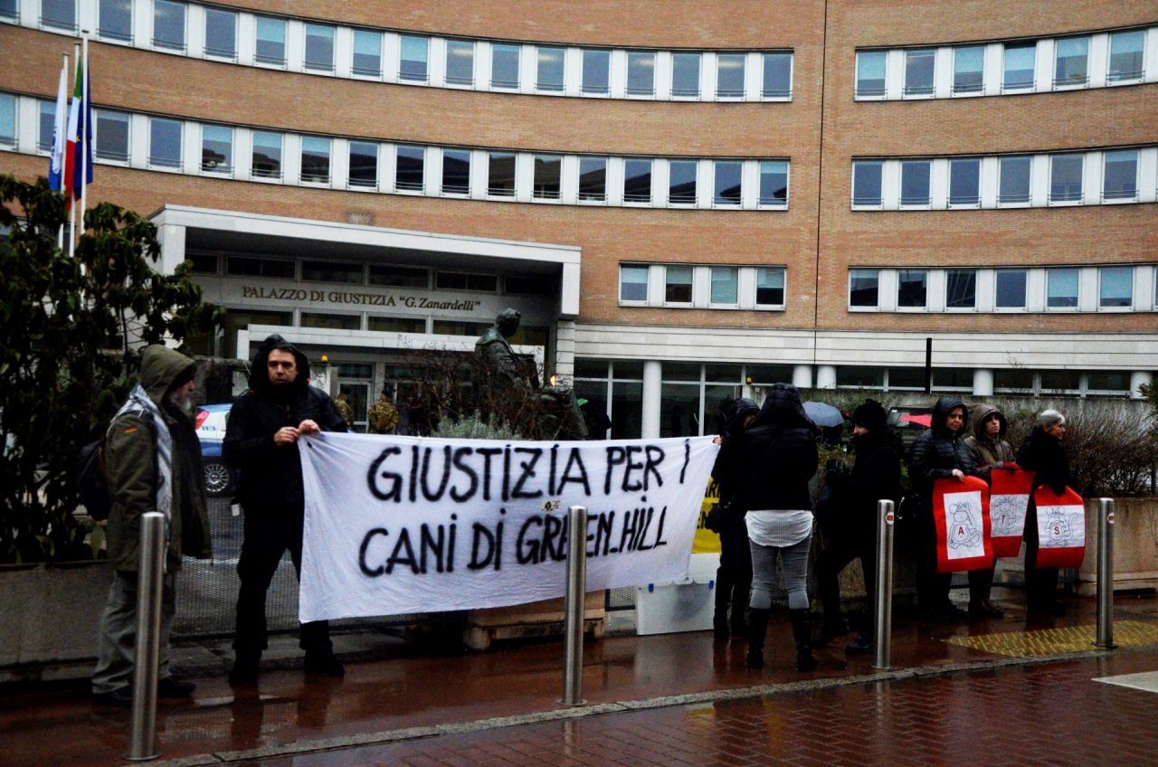 Tutti assolti per Green Hill bis