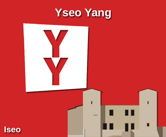 Yseo Yang Anna Pezzotti è il nuovo presidente