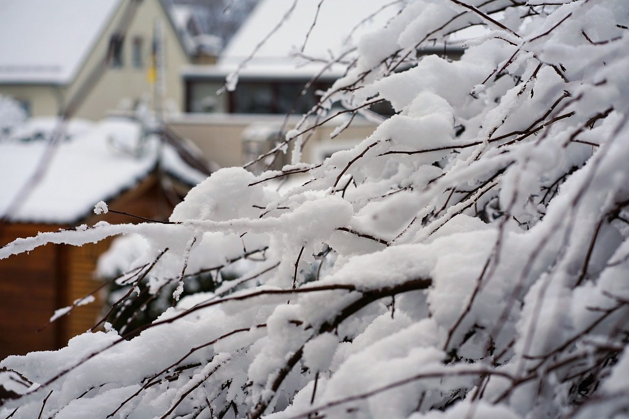 Arriverà la neve? Forse solo oltre i 700 metri