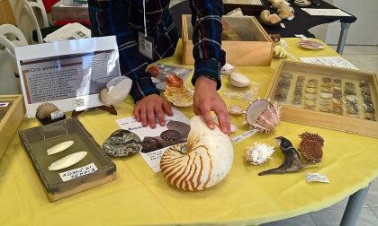 Mostra mineralogica alle scuole medie castegnatesi